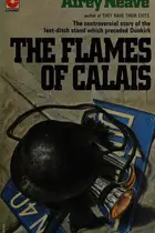 Book cover of The flames of Calsis