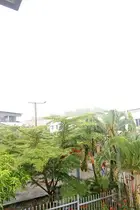 Book cover of Maximizing Your Potential