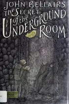 Book cover of The Secret of the Underground Room