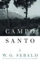 Book cover of Campo Santo