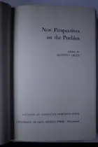 Book cover of New perspectives on the Pueblos