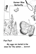 Book cover of The endangered species coloring book