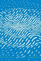 Book cover of Mcsweeney's Issue 64