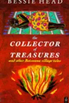 Book cover of A Collector of Treasures