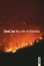 Book cover of Nos vies en flammes