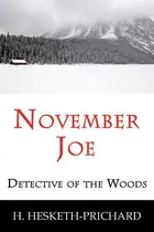 Book cover of November Joe, detective of the woods