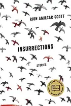 Book cover of Insurrections