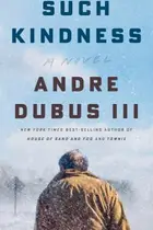 Book cover of Such Kindness