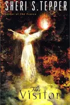 Book cover of The Visitor