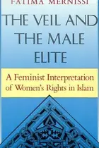 Book cover of The veil and the male elite : a feminist interpretation of women's rights in Islam