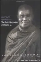 Book cover of Journey to mindfulness