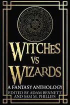 Book cover of Witches vs Wizards
