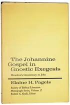 Book cover of The Johannine Gospel in gnostic exegesis