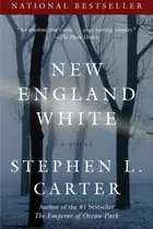 Book cover of New England White