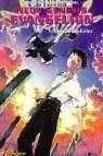 Book cover of Neon Genesis Evangelion, Bd.5, Der Grabpfeiler