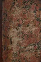 Book cover of Comedia. La fuerza lastimosa