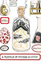 Book cover of A Bottle of Storm Clouds