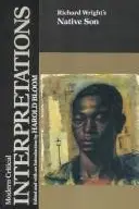 Book cover of Richard Wright's Native son