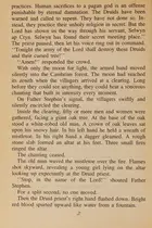 Book cover of The Druid Curse