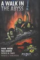 Book cover of A Walk In The Abyss