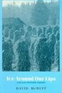 Book cover of Ice around our lips