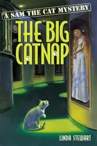 Book cover of The big catnap