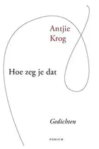 Book cover of Hoe zeg je dat