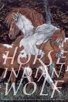 Book cover of Horse Indian Wolf The Hidden Pictures Of Judy Larson