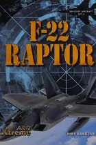 Book cover of F-22 Raptor