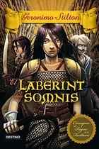 Book cover of Il labirinto dei sogni. Cavalieri del Regno della Fantasia