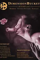 Book cover of DimensionBucket Magazine: Autumn 2018