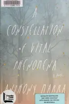 Book cover of A Constellation of Vital Phenomena