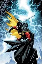 Book cover of Robin