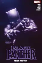 Book cover of Black Panther by Eve L. Ewing