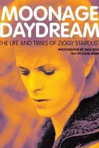 Book cover of Moonage daydream