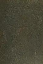 Book cover of Counterfeit,