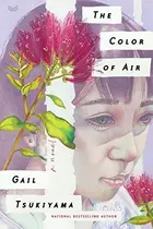 Book cover of The Color of Air