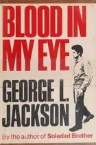 Book cover of Blood in my eye