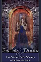 Book cover of Secrets and Doors
