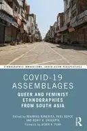 Book cover of COVID-19 Assemblages