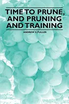 Book cover of Time to Prune, and Pruning and Training