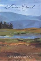 Book cover of Obsidian Point