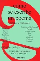 Book cover of Como Se Escribe Un Poema - Español-Portugues