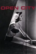 Book cover of Open City