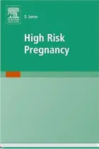 Book cover of High risk pregnancy