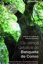 Book cover of OS ÚLTIMOS CARBALLOS DO BANQUETE DE CONXO