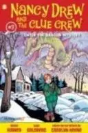 Book cover of Enter the dragon mystery