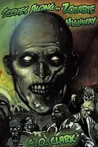 Book cover of Scenes Along the Zombie Highway