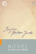 Book cover of HUJAN BULAN JUNI