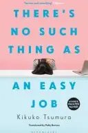 Book cover of There's No Such Thing as an Easy Job